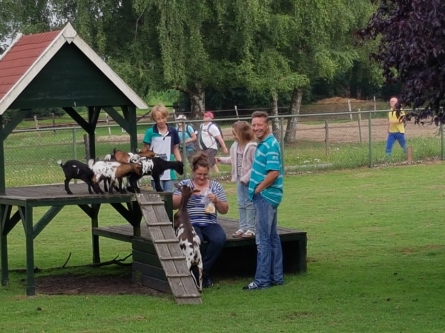 Camping_De_Bosrand_dieren_voeren