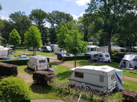 Camping_De_Bosrand_comfortplaatsen_02