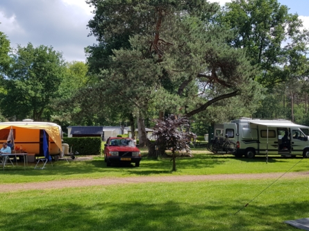 Camping_De_Bosrand_basicplaatsen_04