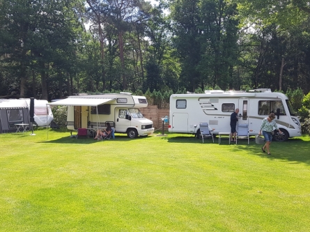 Camping_De_Bosrand_standaardplaatsen_01