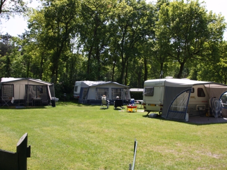 Camping_De_Bosrand_seizoensplaatsen